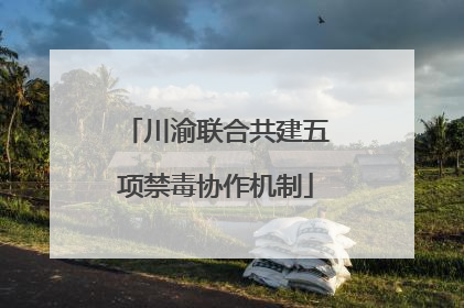 川渝联合共建五项禁毒协作机制