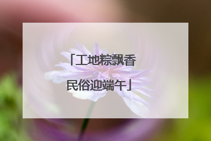 工地粽飘香 民俗迎端午