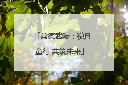 常德武陵：税月童行 共筑未来