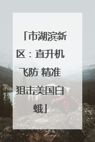 市湖滨新区：直升机飞防 精准狙击美国白蛾