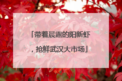 带着晨露的阳新虾，抢鲜武汉大市场
