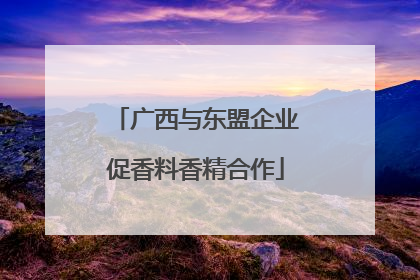 广西与东盟企业促香料香精合作