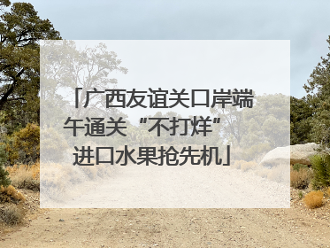 广西友谊关口岸端午通关“不打烊” 进口水果抢先机