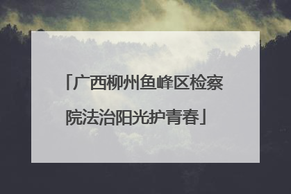 广西柳州鱼峰区检察院法治阳光护青春
