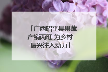广西昭平县果蔬产销两旺 为乡村振兴注入动力