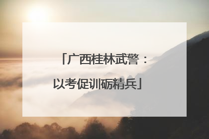 广西桂林武警：以考促训砺精兵