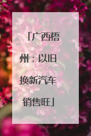 广西梧州：以旧换新汽车销售旺