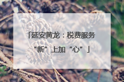 延安黄龙：税费服务“新”上加“心”