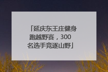 延庆东王庄健身跑越野赛，300名选手竞逐山野