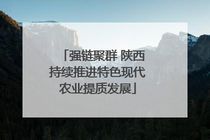 强链聚群 陕西持续推进特色现代农业提质发展