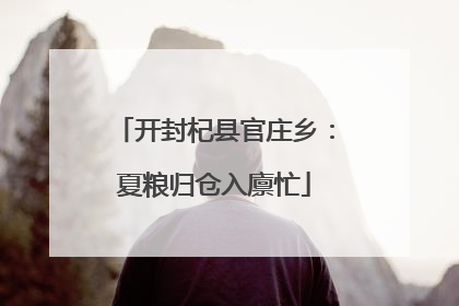 开封杞县官庄乡：夏粮归仓入廪忙