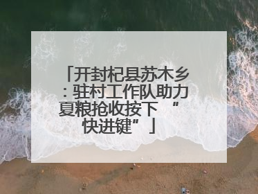 开封杞县苏木乡：驻村工作队助力夏粮抢收按下 “快进键”
