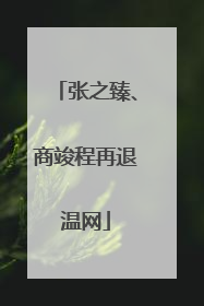 张之臻、商竣程再退温网