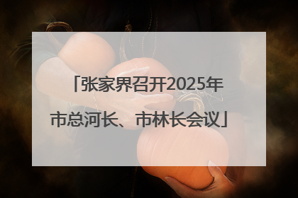 张家界召开2025年市总河长、市林长会议