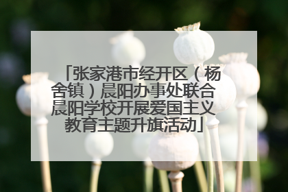 张家港市经开区（杨舍镇）晨阳办事处联合晨阳学校开展爱国主义教育主题升旗活动