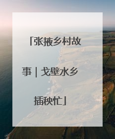 张掖乡村故事｜戈壁水乡插秧忙