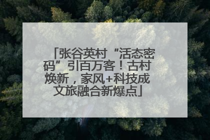张谷英村“活态密码”引百万客！古村焕新，家风+科技成文旅融合新爆点
