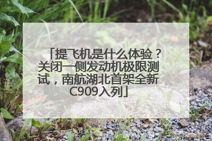 提飞机是什么体验？关闭一侧发动机极限测试，南航湖北首架全新C909入列