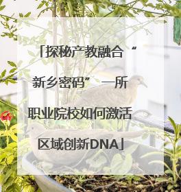 探秘产教融合“新乡密码” 一所职业院校如何激活区域创新DNA
