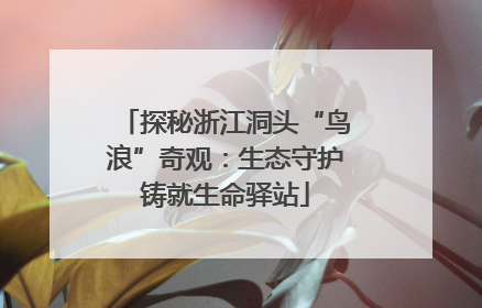 探秘浙江洞头“鸟浪”奇观：生态守护铸就生命驿站