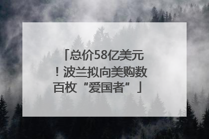 总价58亿美元！波兰拟向美购数百枚“爱国者”