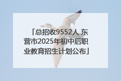 总招收9552人 东营市2025年初中后职业教育招生计划公布