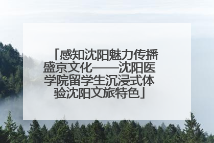 感知沈阳魅力传播盛京文化——沈阳医学院留学生沉浸式体验沈阳文旅特色