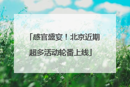 感官盛宴！北京近期超多活动轮番上线