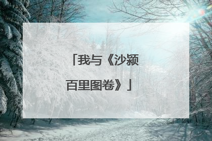 我与《沙颍百里图卷》