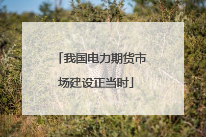 我国电力期货市场建设正当时