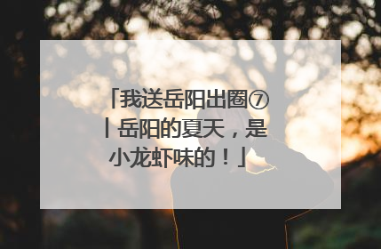 我送岳阳出圈⑦丨岳阳的夏天，是小龙虾味的！