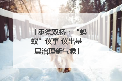 承德双桥：“蚂蚁”议事 议出基层治理新气象