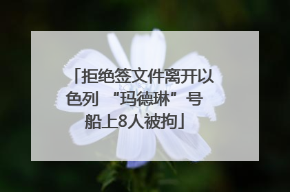 拒绝签文件离开以色列 “玛德琳”号船上8人被拘
