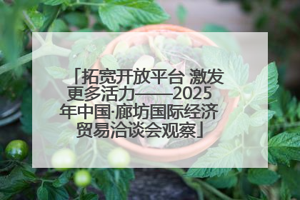 拓宽开放平台 激发更多活力——2025年中国·廊坊国际经济贸易洽谈会观察