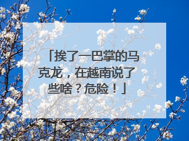 挨了一巴掌的马克龙，在越南说了些啥？危险！