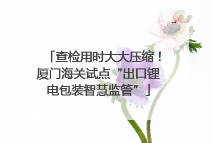 查检用时大大压缩！厦门海关试点“出口锂电包装智慧监管”