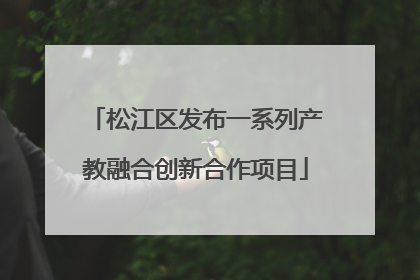 松江区发布一系列产教融合创新合作项目