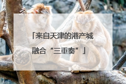 来自天津的港产城融合“三重奏”