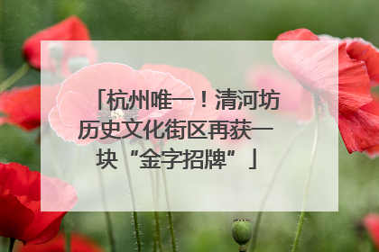 杭州唯一！清河坊历史文化街区再获一块“金字招牌”