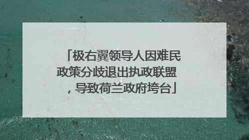 极右翼领导人因难民政策分歧退出执政联盟，导致荷兰政府垮台