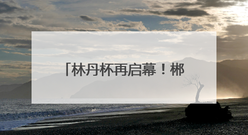 林丹杯再启幕！郴州以羽球为媒邀世界共赴山水之约