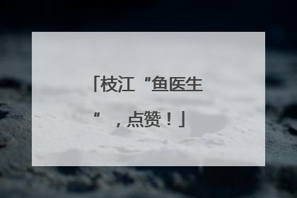 枝江“鱼医生”，点赞！