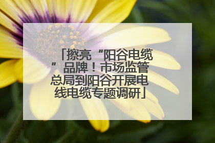 擦亮“阳谷电缆”品牌！市场监管总局到阳谷开展电线电缆专题调研