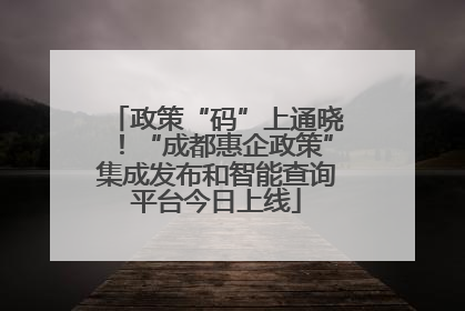 政策“码”上通晓！“成都惠企政策”集成发布和智能查询平台今日上线