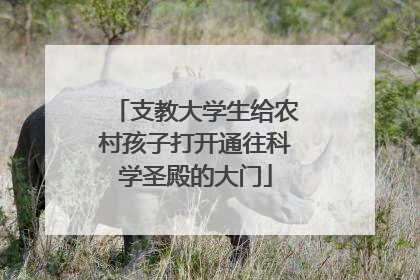 支教大学生给农村孩子打开通往科学圣殿的大门