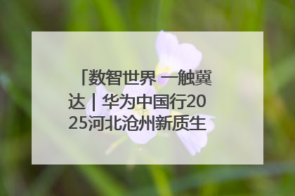 数智世界 一触冀达｜华为中国行2025河北沧州新质生产力峰会成功举办