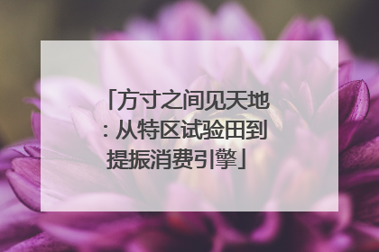 方寸之间见天地：从特区试验田到提振消费引擎