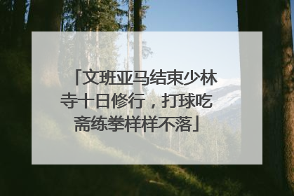 文班亚马结束少林寺十日修行，打球吃斋练拳样样不落