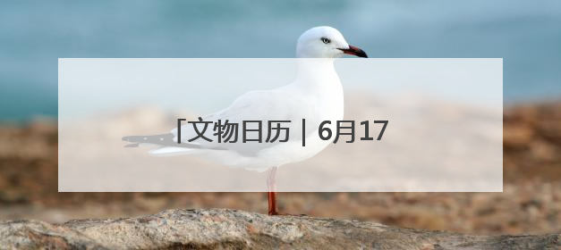 文物日历｜6月17日：蜥蜴纹彩陶罐