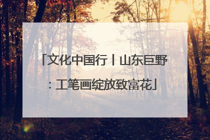 文化中国行丨山东巨野：工笔画绽放致富花
